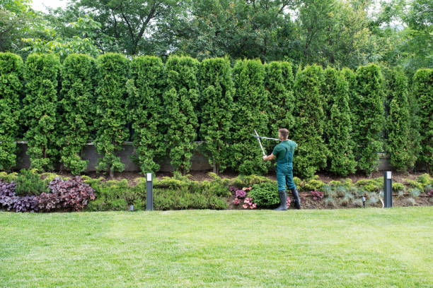 Best Lawn Pest Prevention  in Oregon, OH